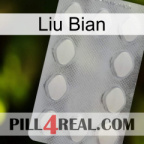 Liu Bian 16